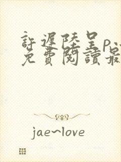 许迟陆呈p小说免费阅读最新章节