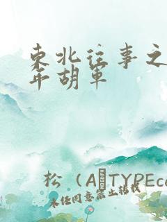 东北往事之二十年胡军