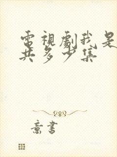 电视剧我是刑警共多少集