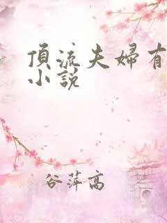 顶流夫妇有点甜小说