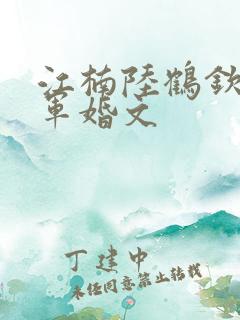 江楠陆鹤钦年代军婚文