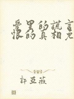 爱里的谎言,仇恨的真相免费观看