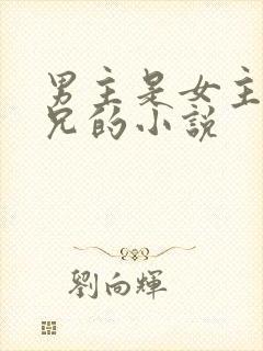 男主是女主的继兄的小说