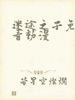 迷途之子免费观看动漫