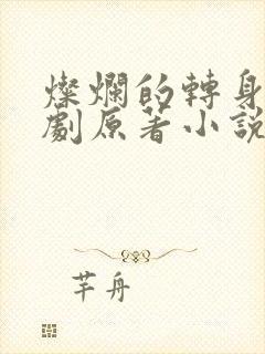 灿烂的转身电视剧原著小说