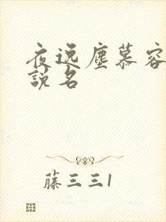 夜逸尘慕容雪小说名