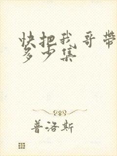 快把我哥带走共多少集