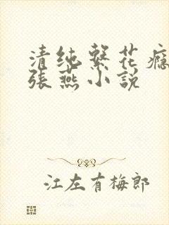 清纯系花瘾日常张燕小说