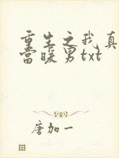 重生之我真没想当暖男txt