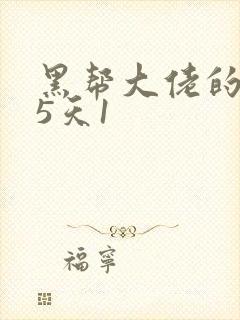 黑帮大佬的365天1