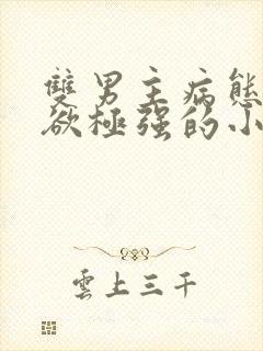 双男主病态占有欲极强的小说