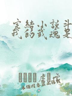 完结小说斗罗之我的武魂是魂环