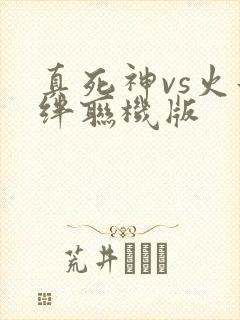 真死神vs火影绊联机版