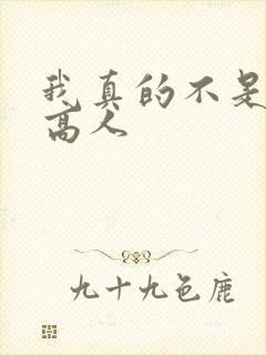 我真的不是隐世高人