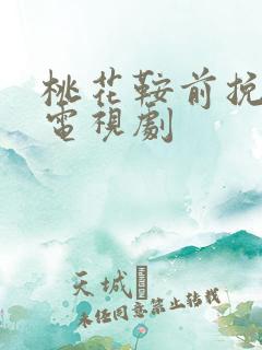 桃花鞍前挽离情电视剧