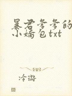 暴君爹爹的团宠小娇包txt