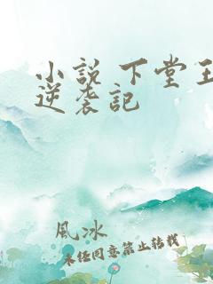 小说 下堂王妃逆袭记