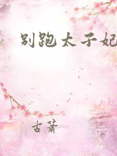 别跑太子妃短剧