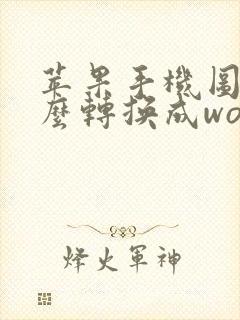 苹果手机图片怎么转换成word文档