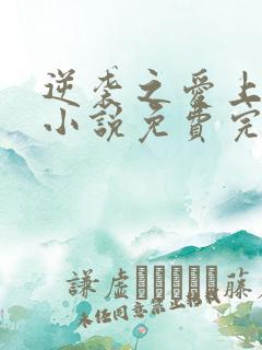 逆袭之爱上情敌小说免费完整在线阅读