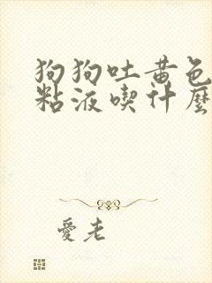 狗狗吐黄色泡沫粘液吃什么药