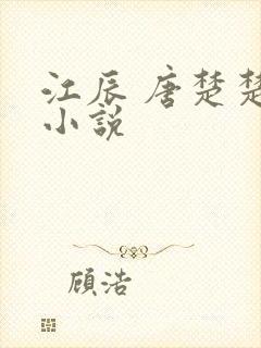 江辰 唐楚楚 小说