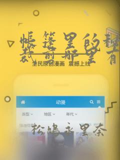 帐篷里的秘密未裁剪哪里有