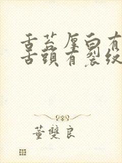 舌苔厚白有齿痕舌头有裂纹