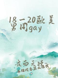18一20欧美男同gay