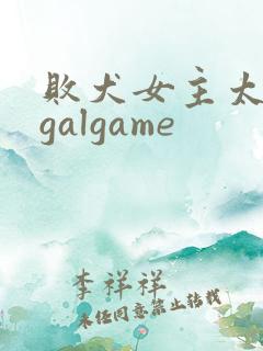 败犬女主太多了galgame