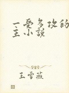 一受多攻的双男主小说