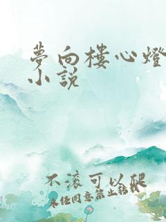 梦向楼心灯火归小说