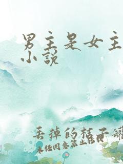 男主是女主继兄小说