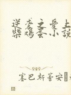 逆袭之爱上情敌柴鸡蛋小说未删减版