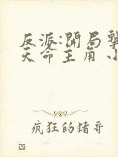 反派:开局击杀天命主角 小说