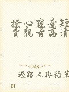 撩心窃意短剧免费观看高清