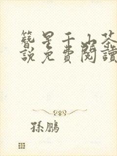 簪星千山茶客小说免费阅读