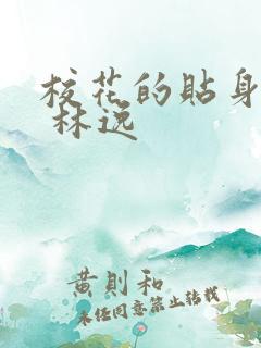 校花的贴身高手 林逸