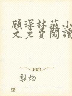 顾琛林薇小说全文免费阅读最新章节