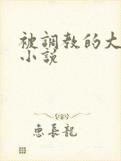 被调教的大小姐小说