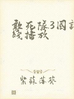 敢死队3国语在线播放