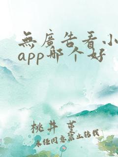 无广告看小说的app哪个好