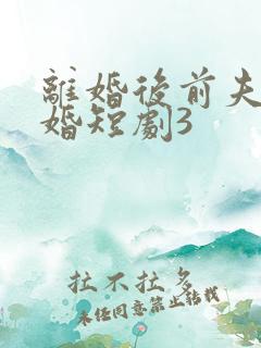 离婚后前夫求复婚短剧3