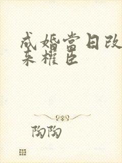 成婚当日改嫁未来权臣