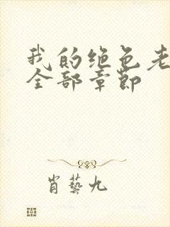 我的绝色老板娘全部章节