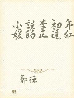 小说李初年童肖媛的正道红途