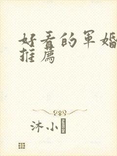 好看的军婚小说推荐