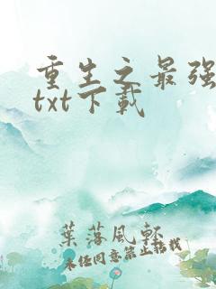 重生之最强大亨txt下载