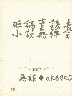 砸锅卖铁去上学小说无弹窗