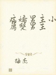 病娇男主小说推荐双男主